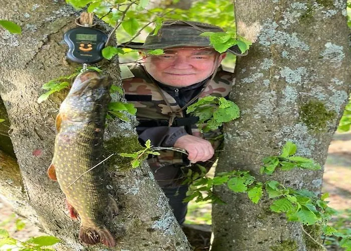 Σπίτι διακοπών Homes With A Private On The *